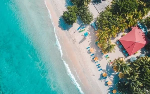 bd56ecc1-bbfb-43e4-b568-bd24dd794d25