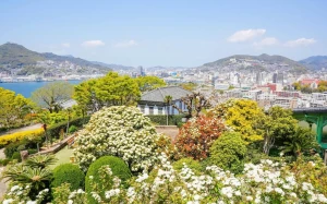 0581974a-4f22-49b1-9403-96ea5dd438cc