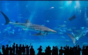 0189d860-d949-46ec-a156-438ce14176ed