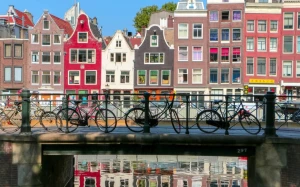 fd15b8ec-1838-445c-a3e0-2744d7f9a03e