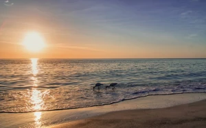 dc19d639-19ea-41a4-8798-c08c7138085d