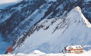 106caa95-4db6-4ccc-a2d7-1f9bab0f57bb