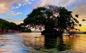 7ccd76b2-e6b7-493a-8c01-ef9bde332aaa