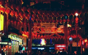 17a01135-33bf-42aa-b530-d4ba9053a3f6