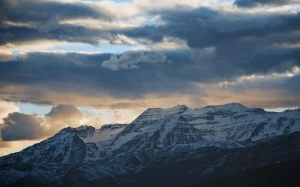 99e14853-e3f5-46e8-8359-6c5a172f9d06