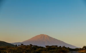 2732d7ec-b271-4ed2-82c2-99b1bc613deb