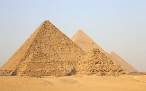 261f1966-d08c-4261-9014-9b26206c3395