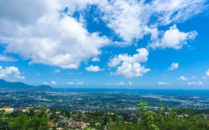 25f01035-25be-477d-80e1-5dbf5529d97a