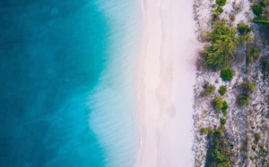 b9f1ae92-0504-46b9-8c66-d70ac2d148cc