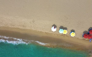 d7328c57-254b-4ab7-a12d-40cbcdcadd01