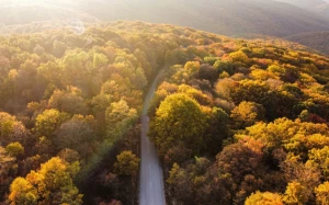 3d3b138c-2e8e-41ee-b0a8-6448f3a5f23a