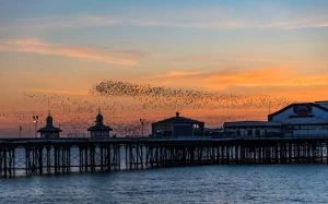 a8198260-07c7-453d-b9c6-c1e34d1116d2