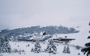 248fa247-7967-4c30-8727-71f3e5299343