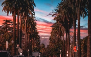 78f19c16-a25e-44e7-8276-254c0347c522