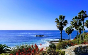 6ec3fd00-b868-4723-9068-9507608d39a9