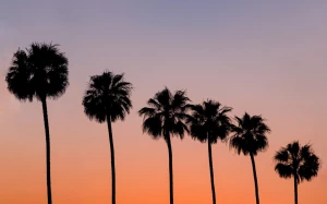 9c987eb4-cc68-4020-a717-e1426e95852a