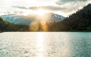 130355aa-b418-4fea-b3c1-2bf142372178