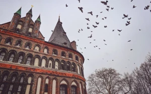 0354803b-6db2-4428-8790-8b290e260431