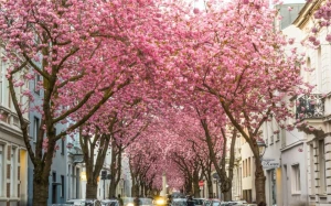 7a36ef9f-ce3f-4ea6-80e7-8436a6f1ef3d