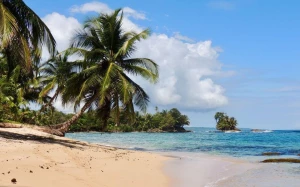 8193db7d-2b67-43a6-a683-f54c2f60db3a