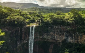 c4df856d-89c8-4242-a440-a319b79d7cc7