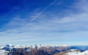 661b0174-356e-4eeb-b076-c677f14c5514