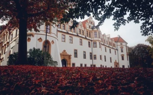 ac247d57-555d-48c4-848d-66cb25ae4341