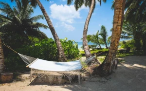 972c66ce-2355-4184-b907-b0c06b4e3e3b