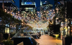 26a41f08-a9ee-4584-b241-4d2b2daaa9c3