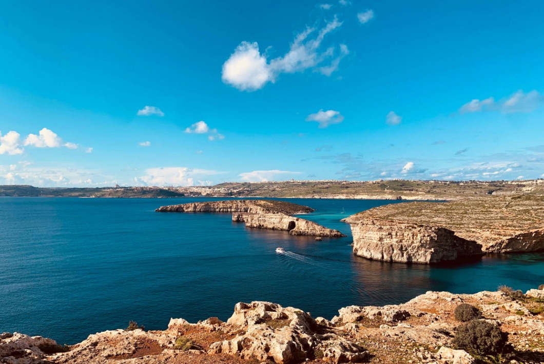 Photo by Alexis Careaga via Unsplash