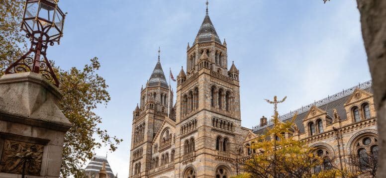 Foto von Grant Ritchie auf Unsplash