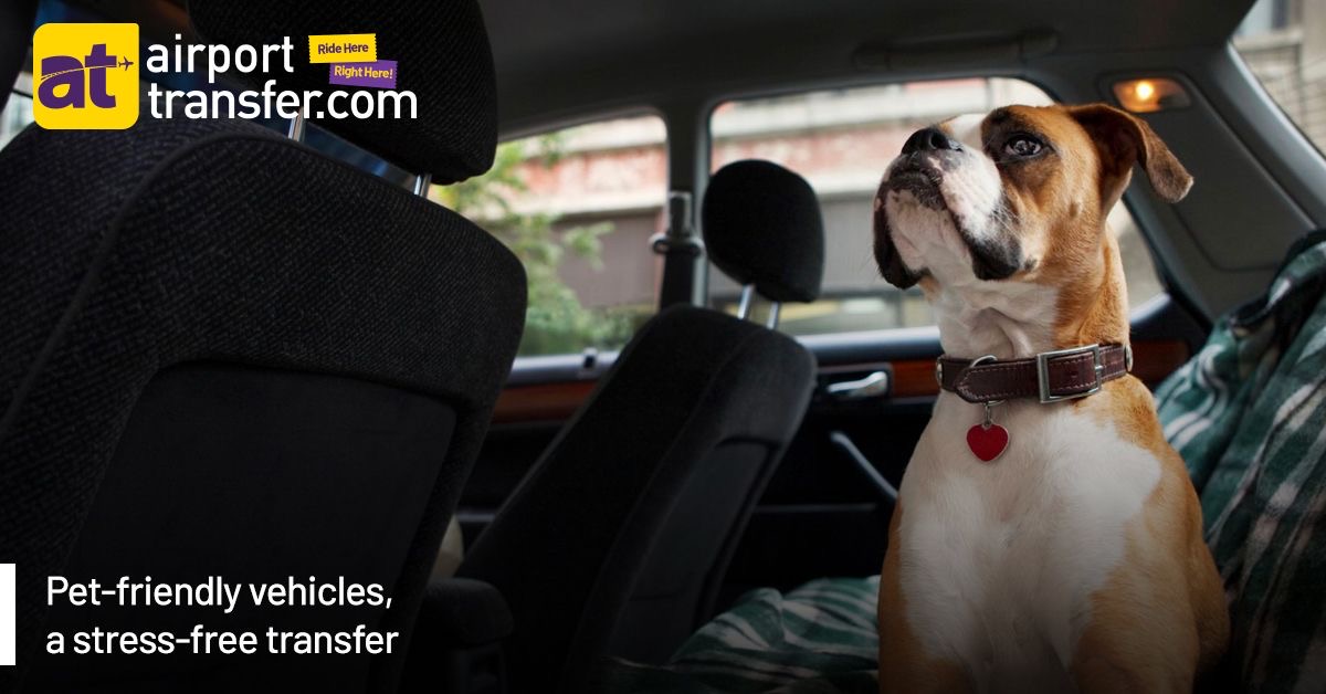 AT's Pet Friendly Vehicles in Lamezia Terme Airport Transfers