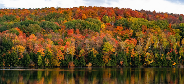 Autumn Holiday Destinations