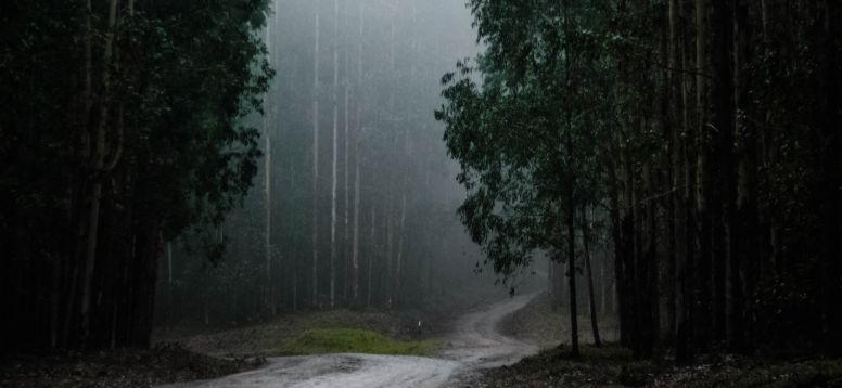 Foto de Halanna Halila en Unsplash