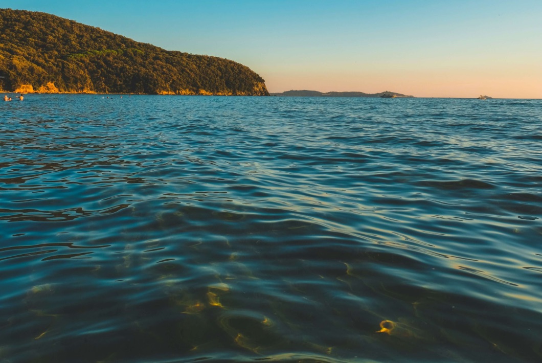 Photo by Greta Farnedi via Unsplash