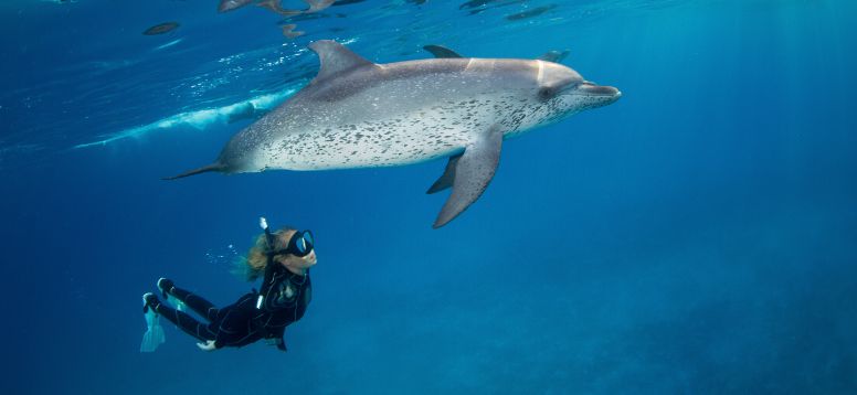 17 Best Diving Spots in the World