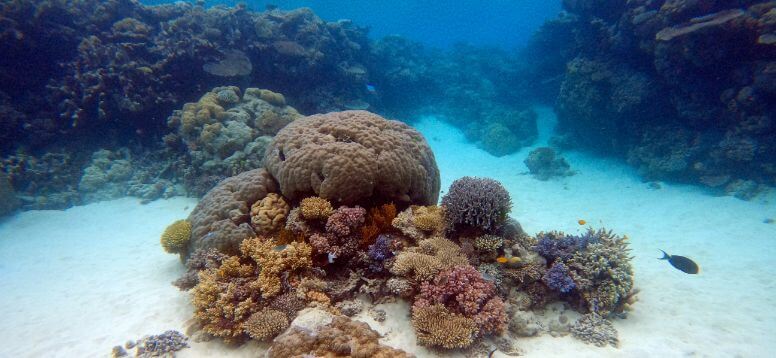 17 Best Diving Spots in the World