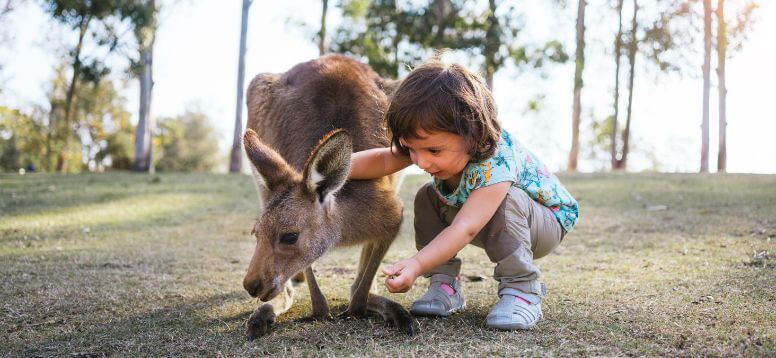 Australian Cities with the Best
