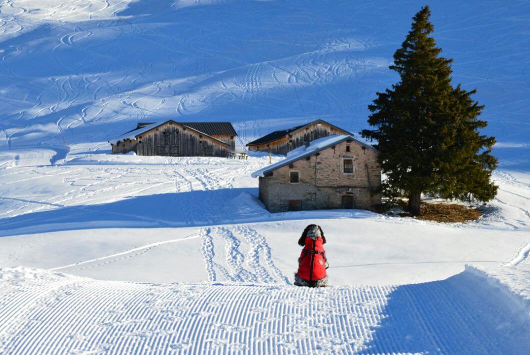 Skiing in Courchevel