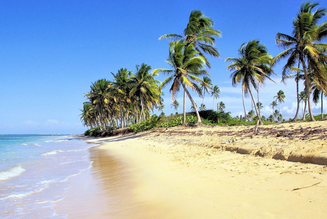 Image by DEZALB from Pixabay