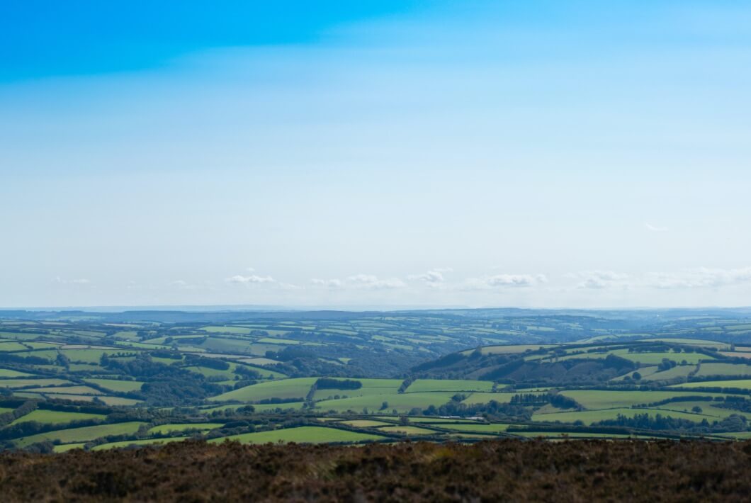 Image by Paul Lincoln via Unsplash.