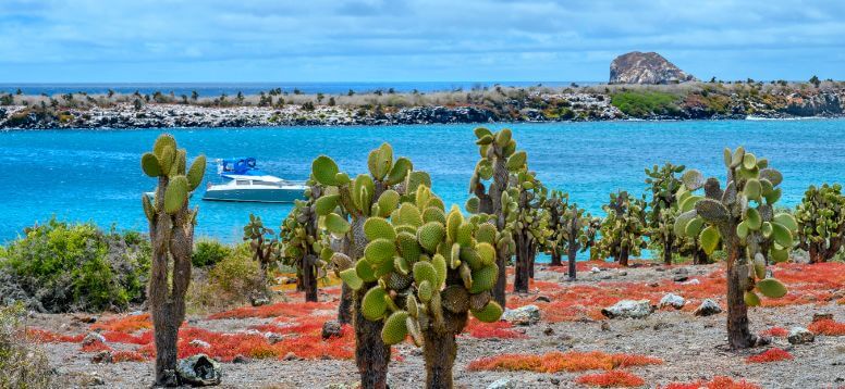 7 Good Reasons to Visit the Galapagos Islands