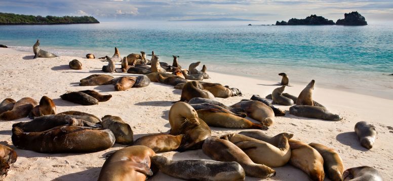 7 Good Reasons to Visit the Galapagos Islands