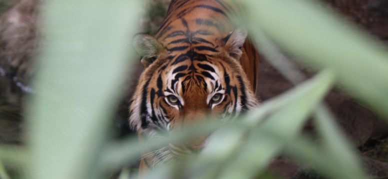 17 Best Zoos in the United States