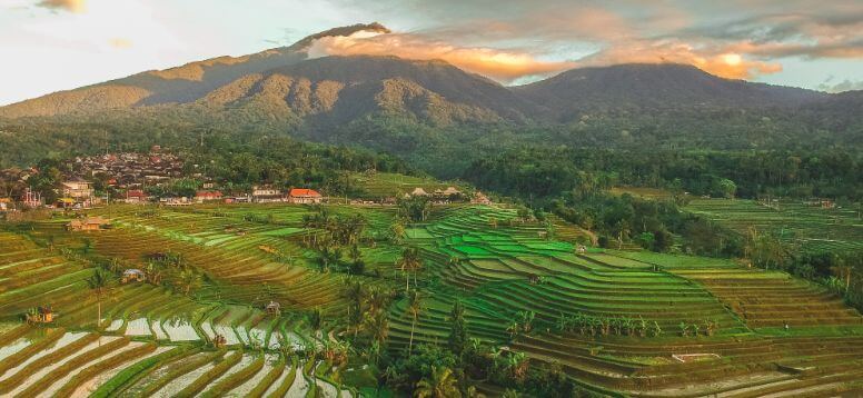 Things to Do in Bali - Touristic Spots