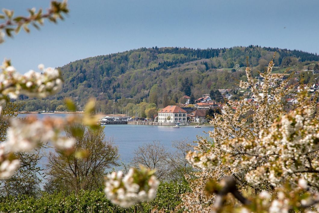 <b>Image by Jo Herrmann from Pixabay</b>