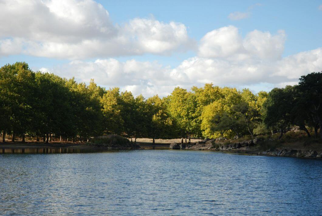 Photo by Elien on Pexels