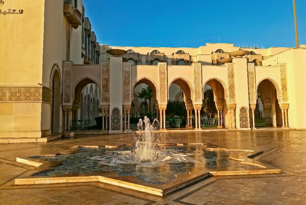 Photo by Thales Botelho de Sousa on Unsplash