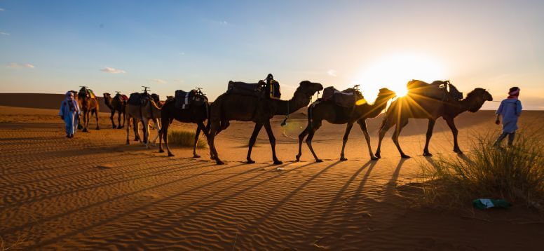 El Desierto de Merzouga