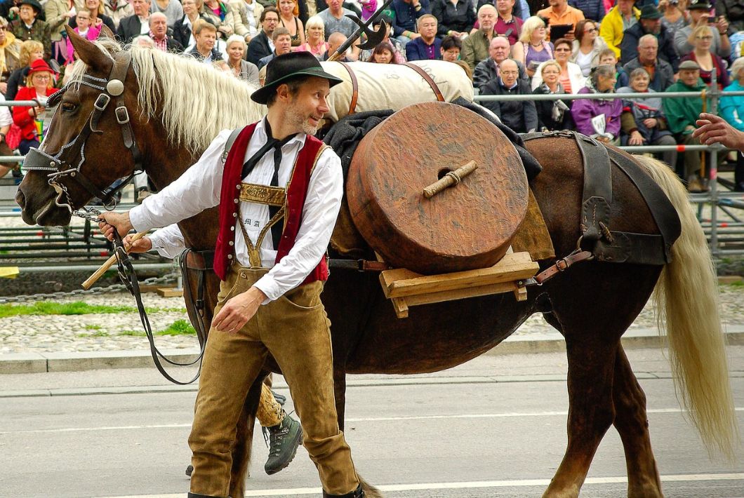 <b>Image by jacqueline macou from Pixabay</b>